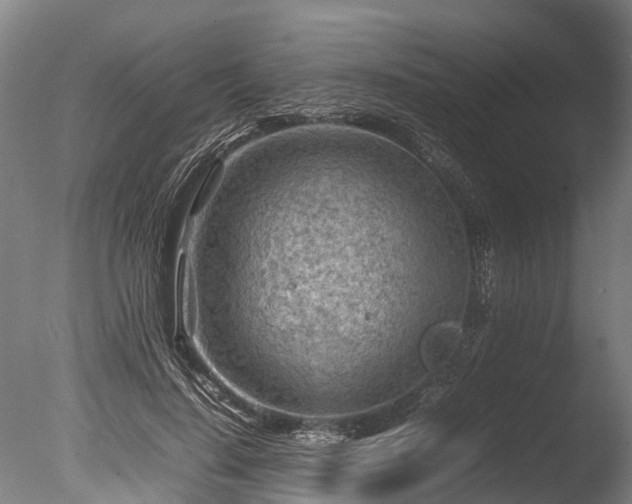 X0000085290644200703161451