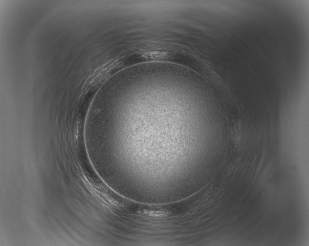 X0000085290645200703161451