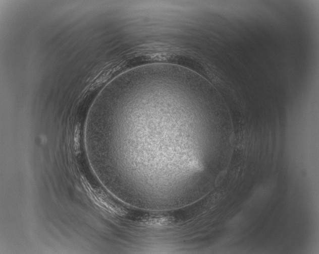 X0000085290646200703161451