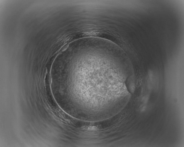 X0000085290647200703161451