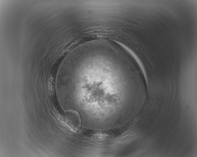 X0000085290650200703161451