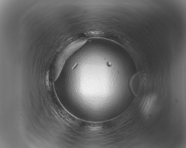 X0000085290651200703161451