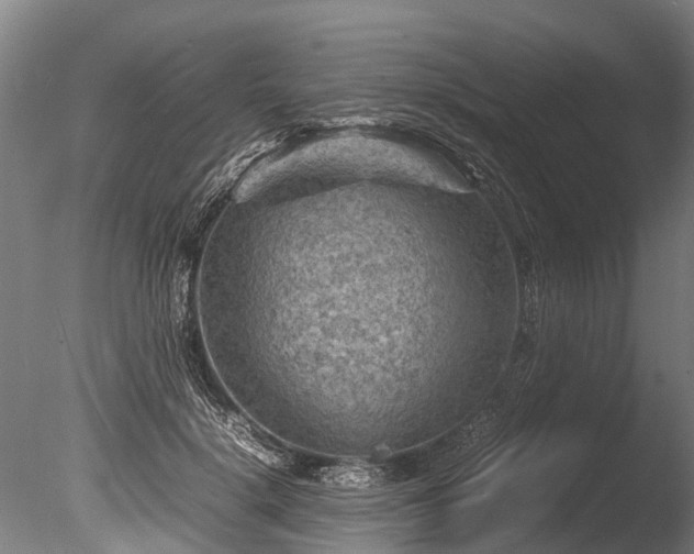 X0000085290652200703161451