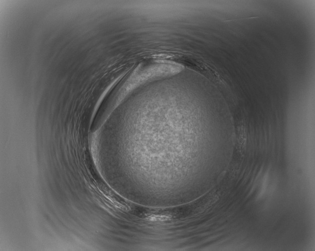 X0000085290653200703161451