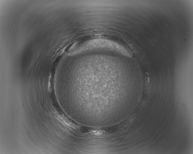 X0000085290654200703161451