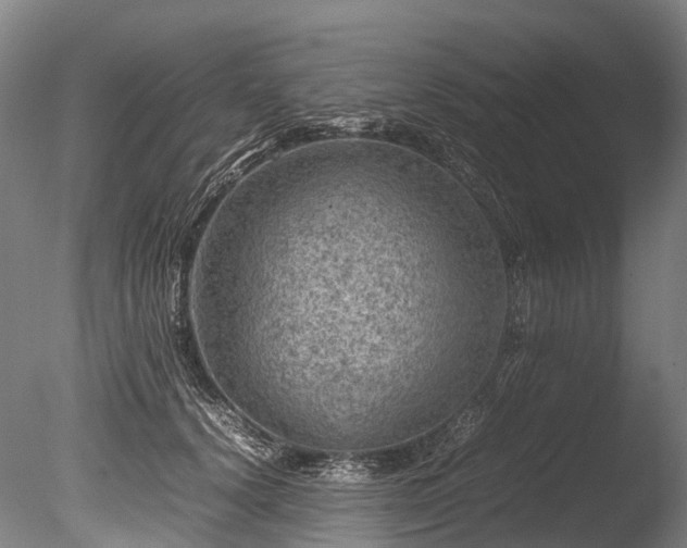 X0000085290656200703161451