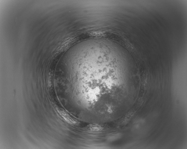 X0000085290658200703161451