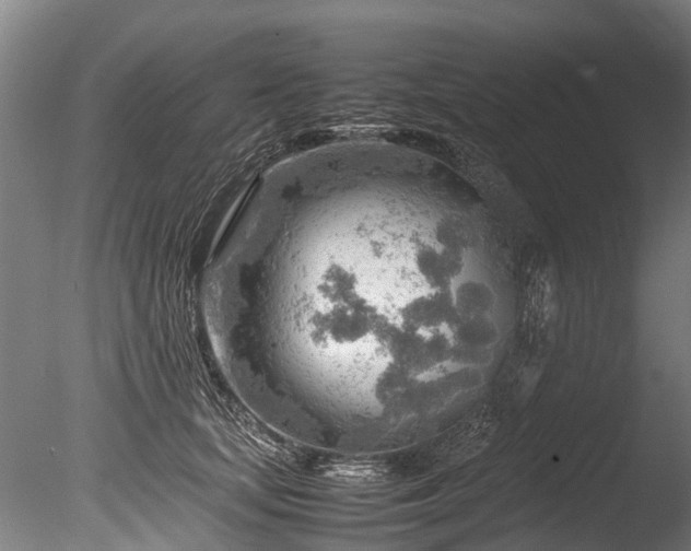 X0000085290659200703161451