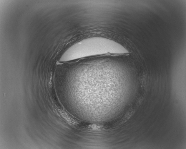 X0000085290660200703161451