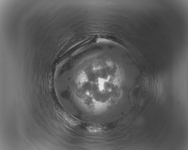 X0000085290661200703161451