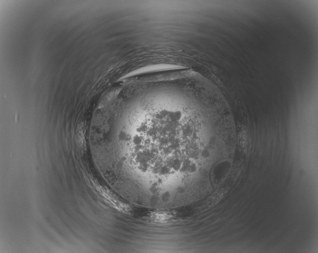 X0000085290662200703161451