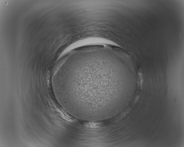 X0000085290664200703161451