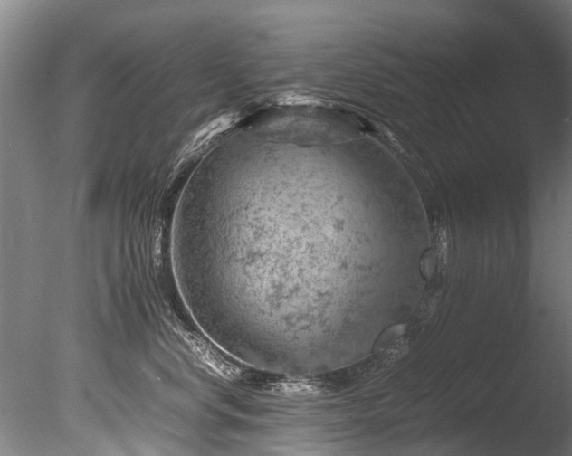 X0000085290668200703161451