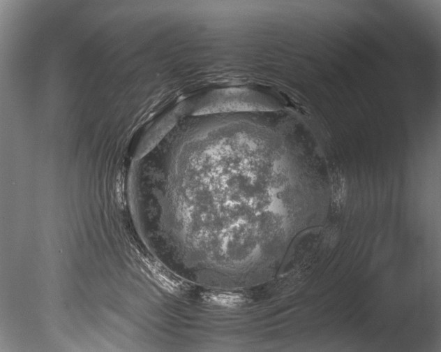 X0000085290669200703161451