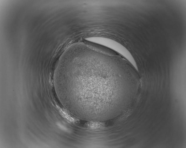 X0000085290670200703161451