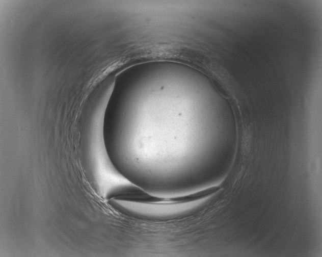 X0000085290673200703161451