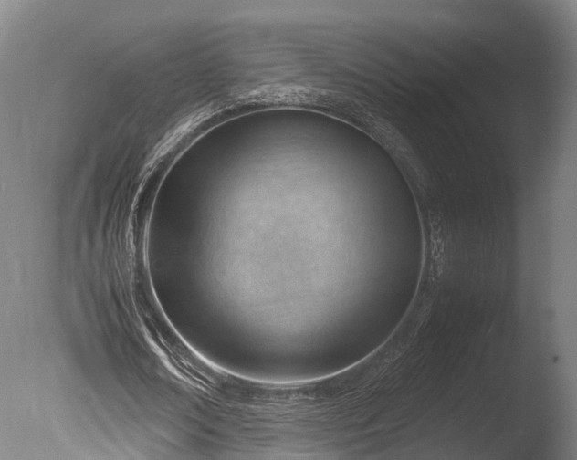 X0000085290674200703161451