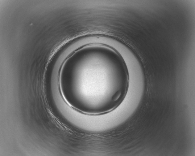 X0000085290676200703161451