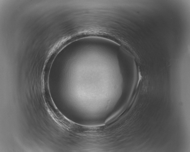 X0000085290678200703161451