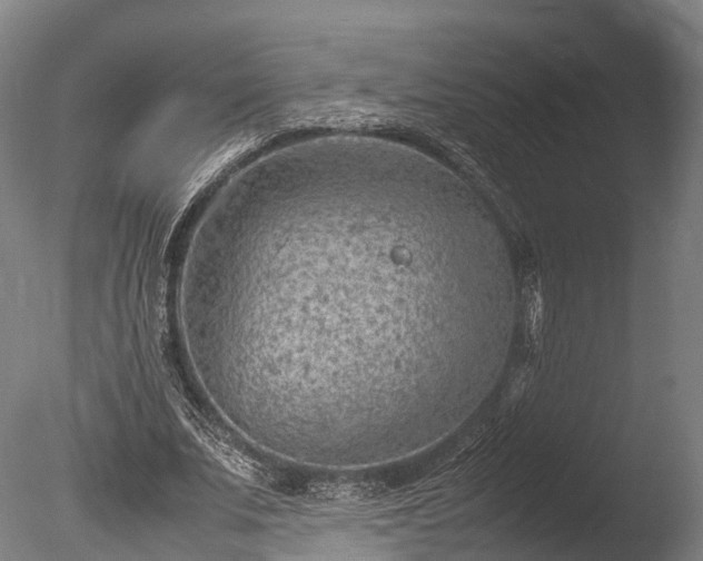 X0000085290679200703161451