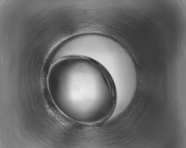 X0000085290680200703161451