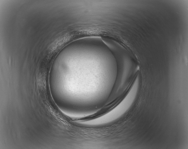 X0000085290681200703161451