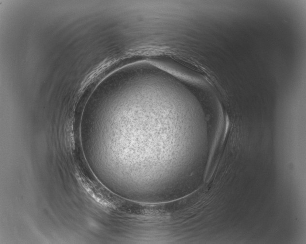 X0000085290682200703161451