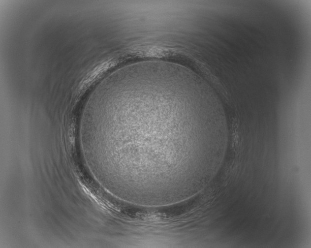 X0000085290683200703161451