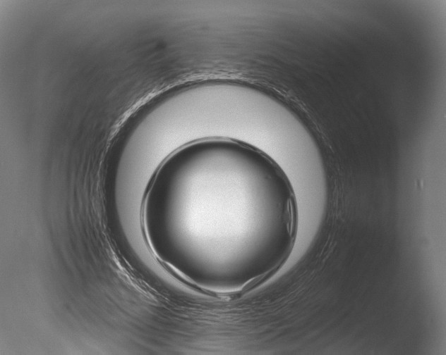 X0000085290684200703161450