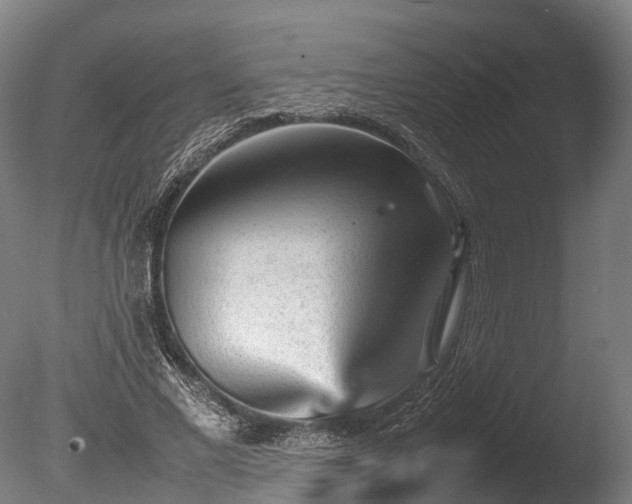 X0000085290685200703161450