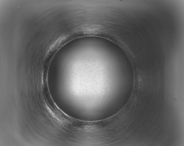 X0000085290686200703161450