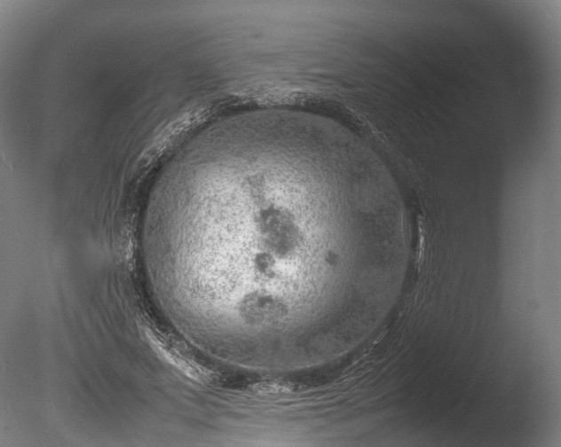 X0000085290687200703161450