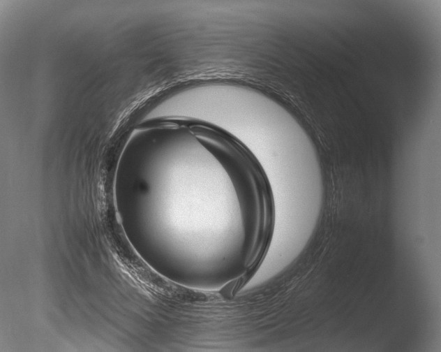 X0000085290688200703161450