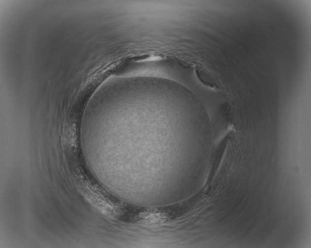 X0000085290689200703161450