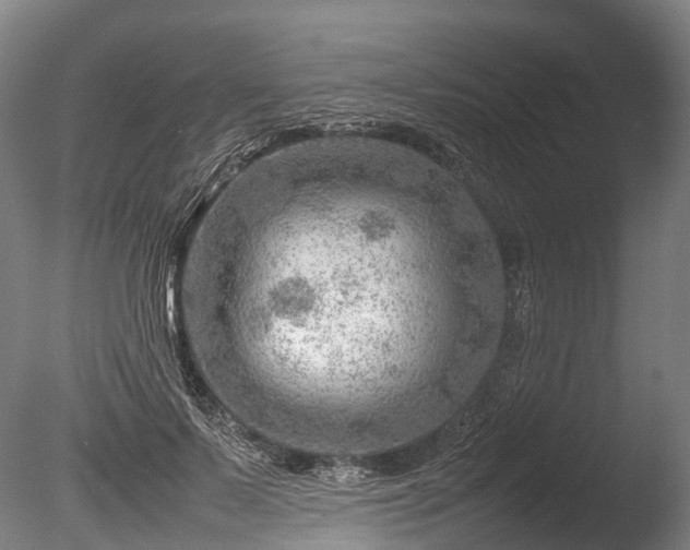 X0000085290695200703161450