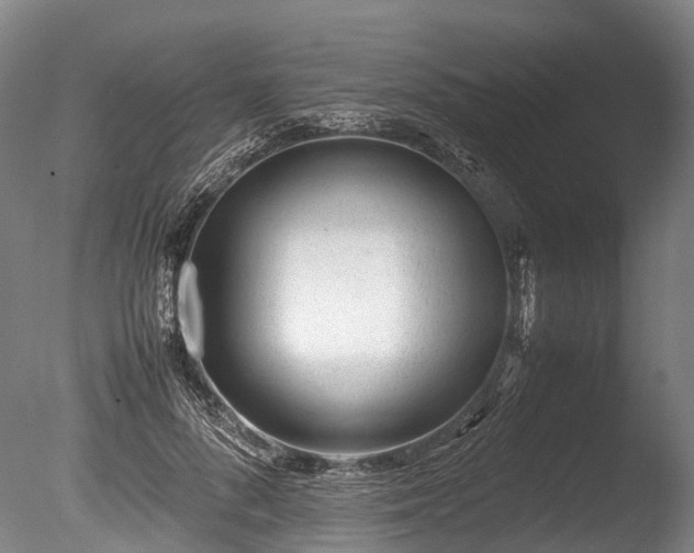 X0000085290696200703161450