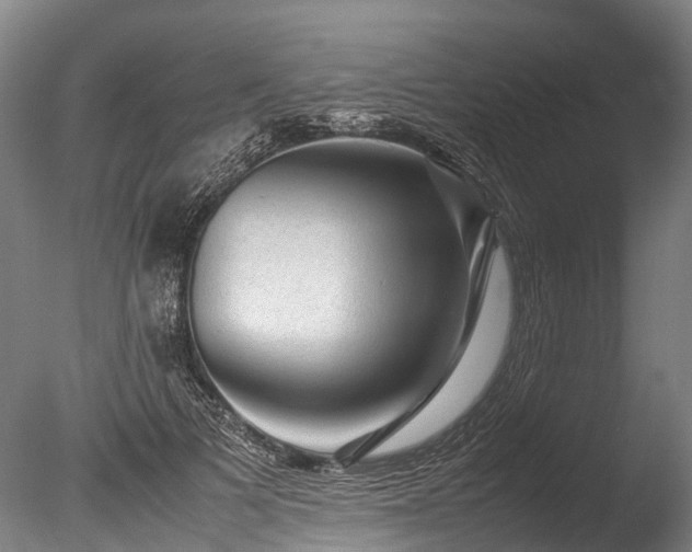 X0000085290697200703161450