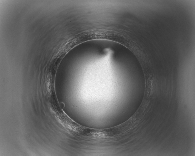 X0000085290698200703161450