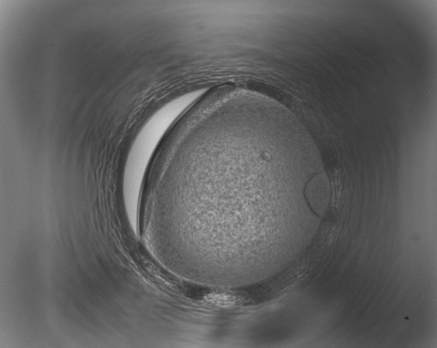 X0000085290699200703161450