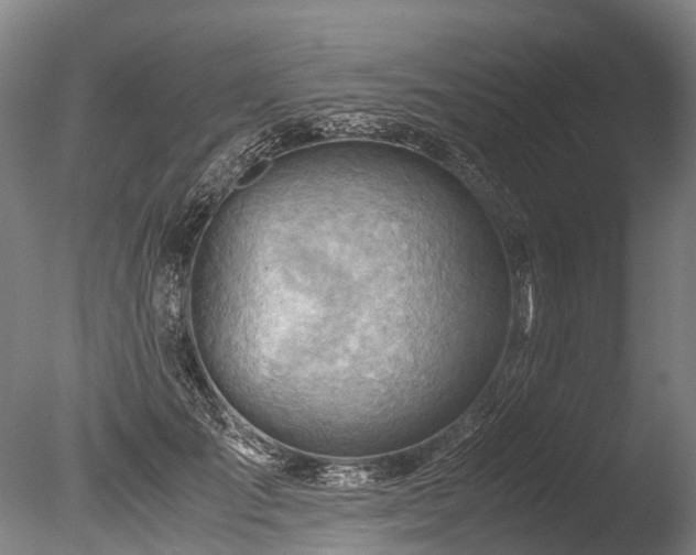 X0000085290701200703161450