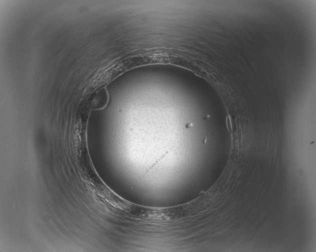 X0000085290702200703161450