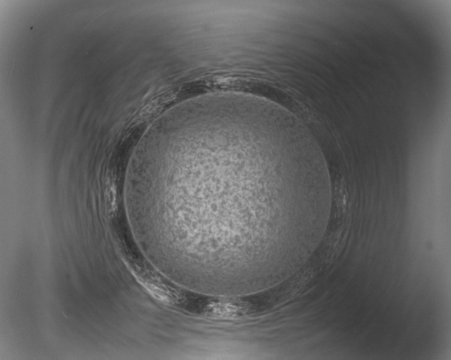 X0000085290703200703161450