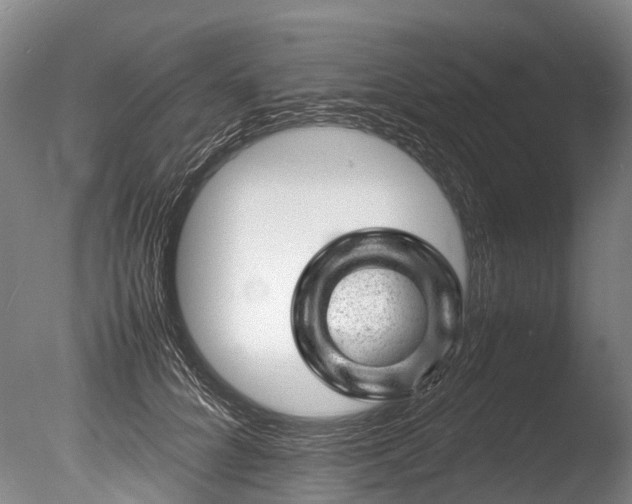 X0000085290704200703161450