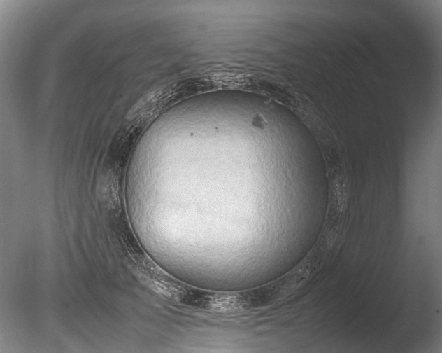 X0000085290705200703161450