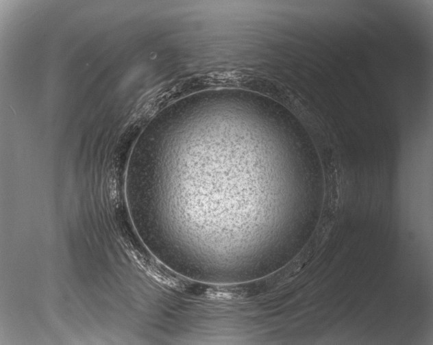 X0000085290706200703161450