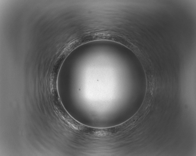 X0000085290708200703161450