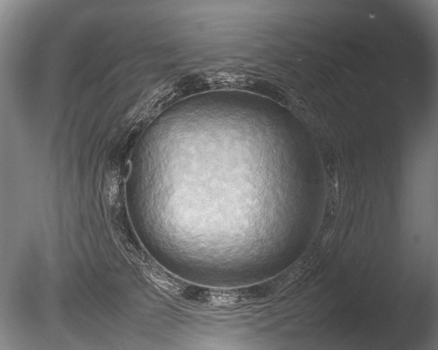 X0000085290709200703161450