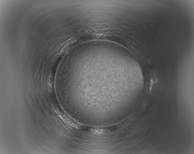 X0000085290710200703161450