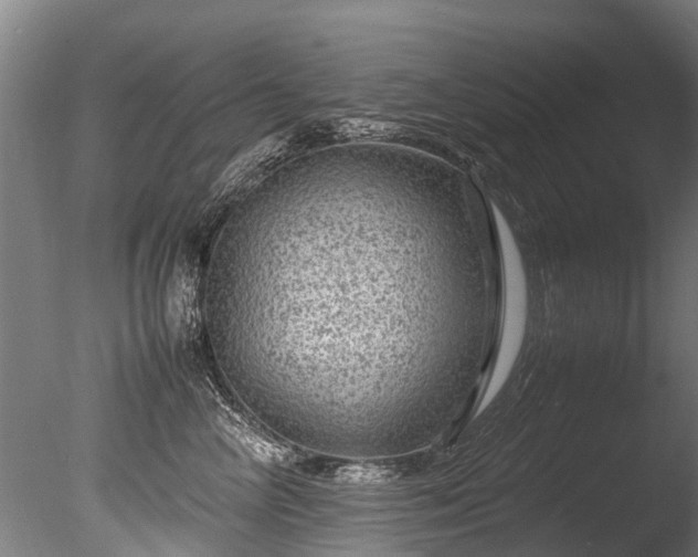 X0000085290714200703161450