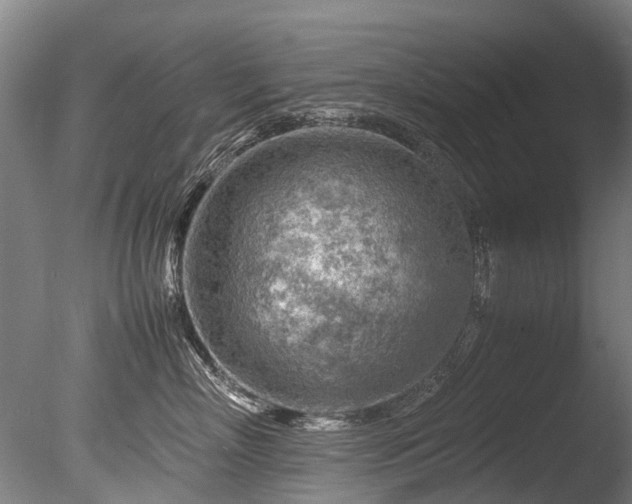 X0000085290718200703161450